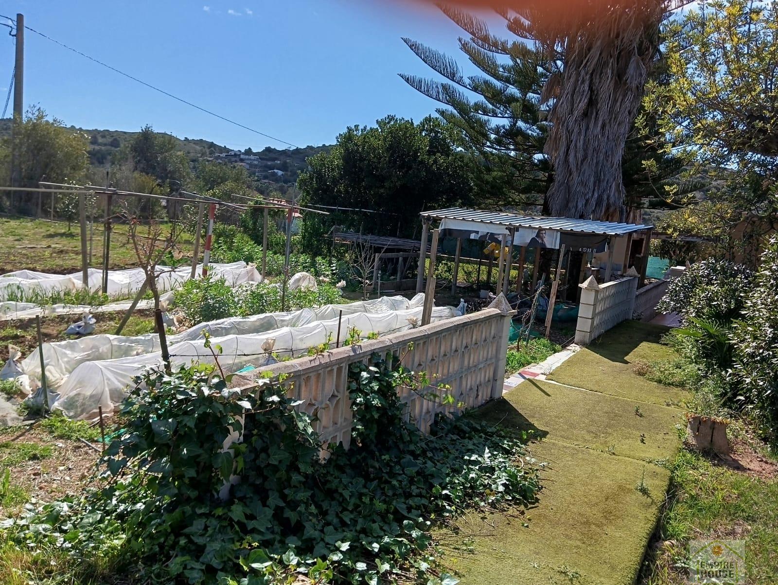 Venta de chalet en Alfarp Venta de chalet en Alfarp