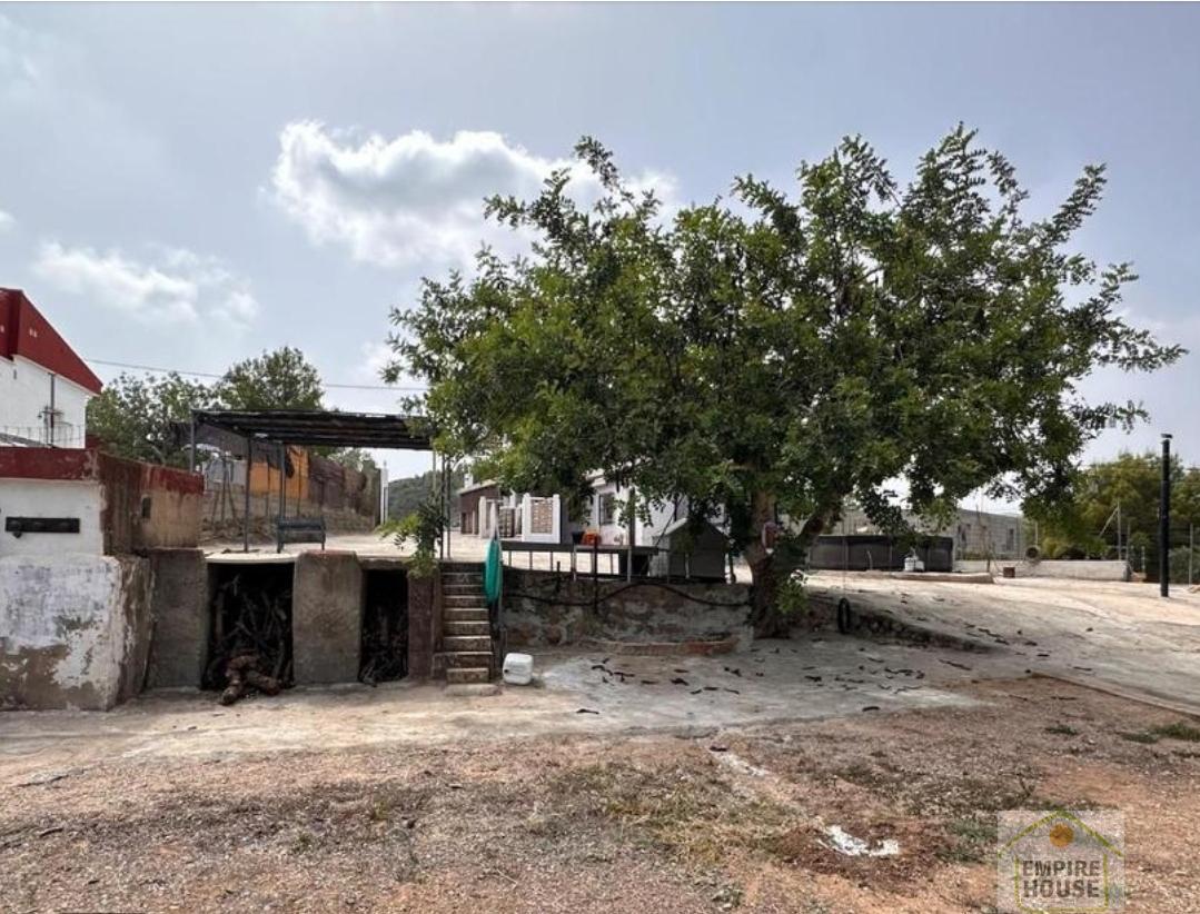 Venta de chalet en Llombai Venta de chalet en Llombai