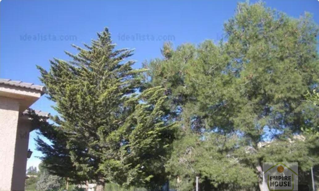 Venta de villa en Torrent Venta de villa en Torrent