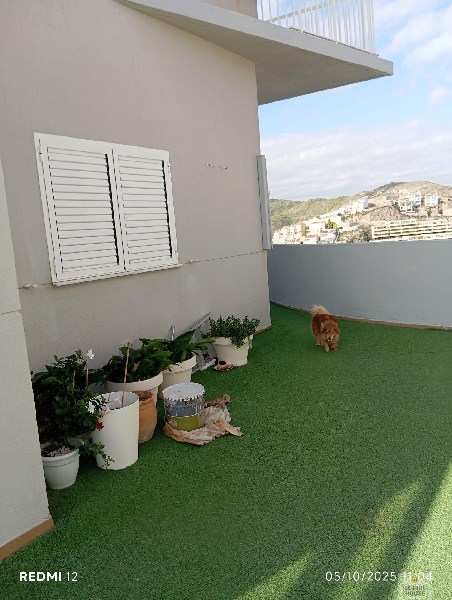 Venta de chalet en Cullera Venta de chalet en Cullera