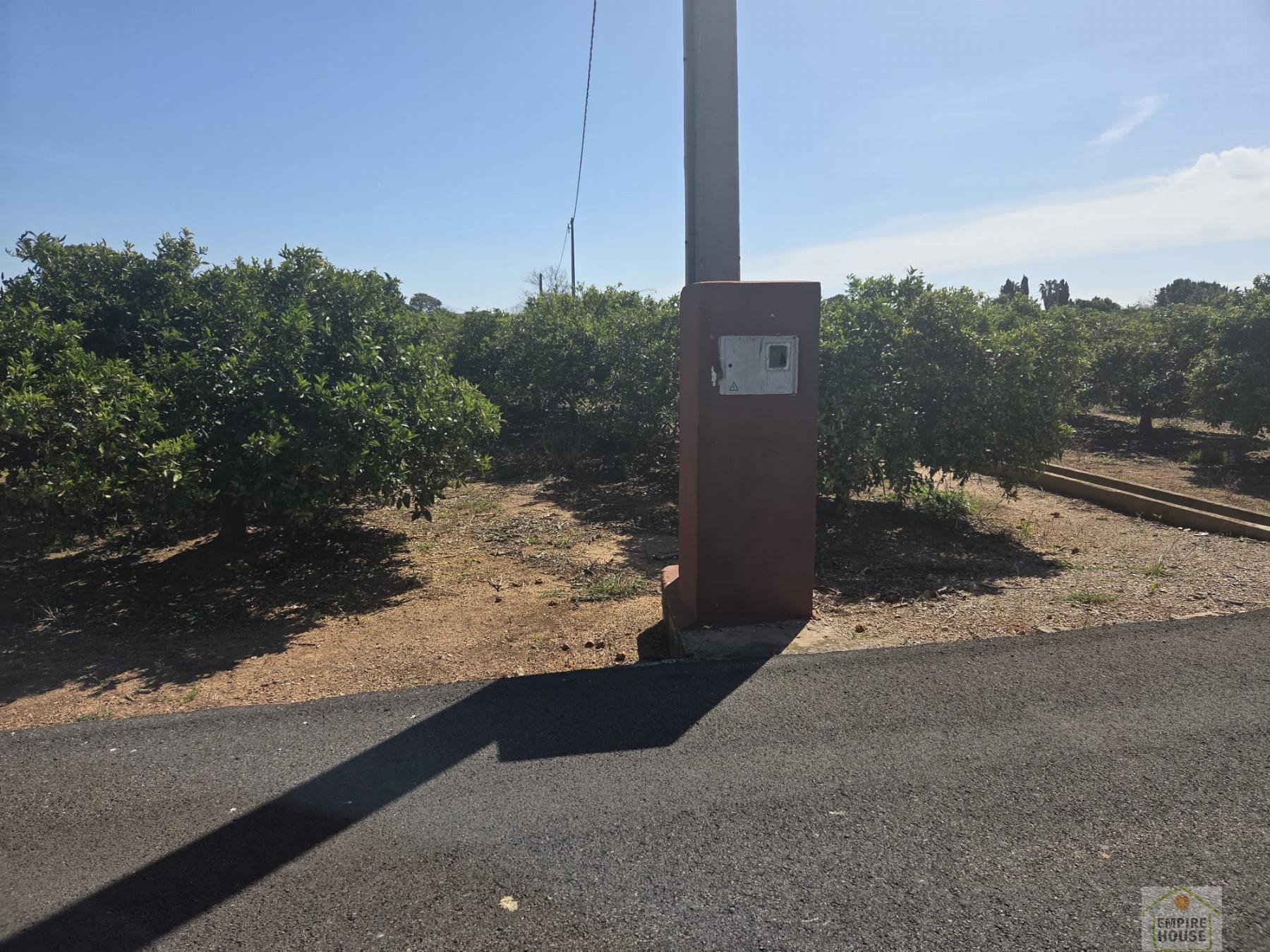 Venta de finca rústica en Benicull de Xúquer