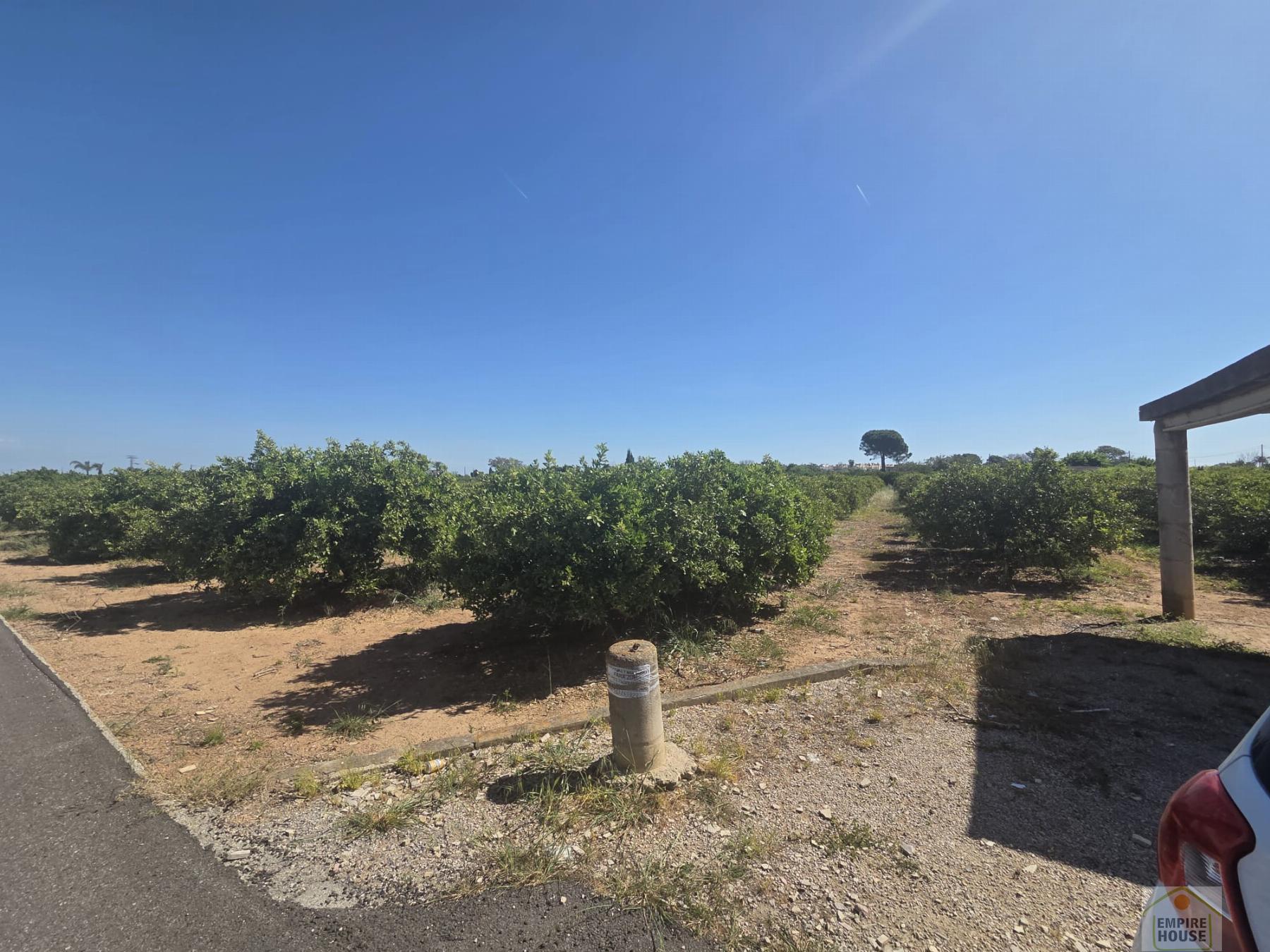 Venta de finca rústica en Benicull de Xúquer