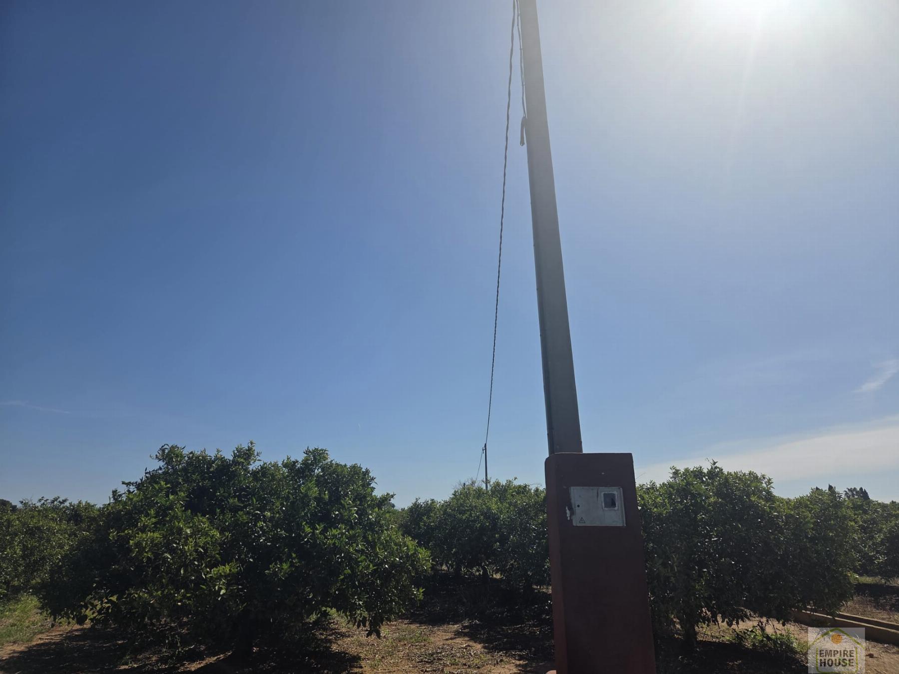Venta de finca rústica en Benicull de Xúquer