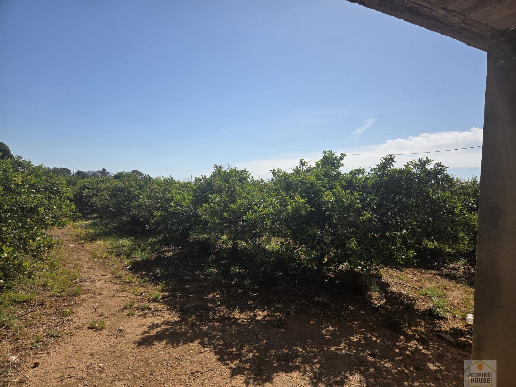 Venta de finca rústica en Benicull de Xúquer