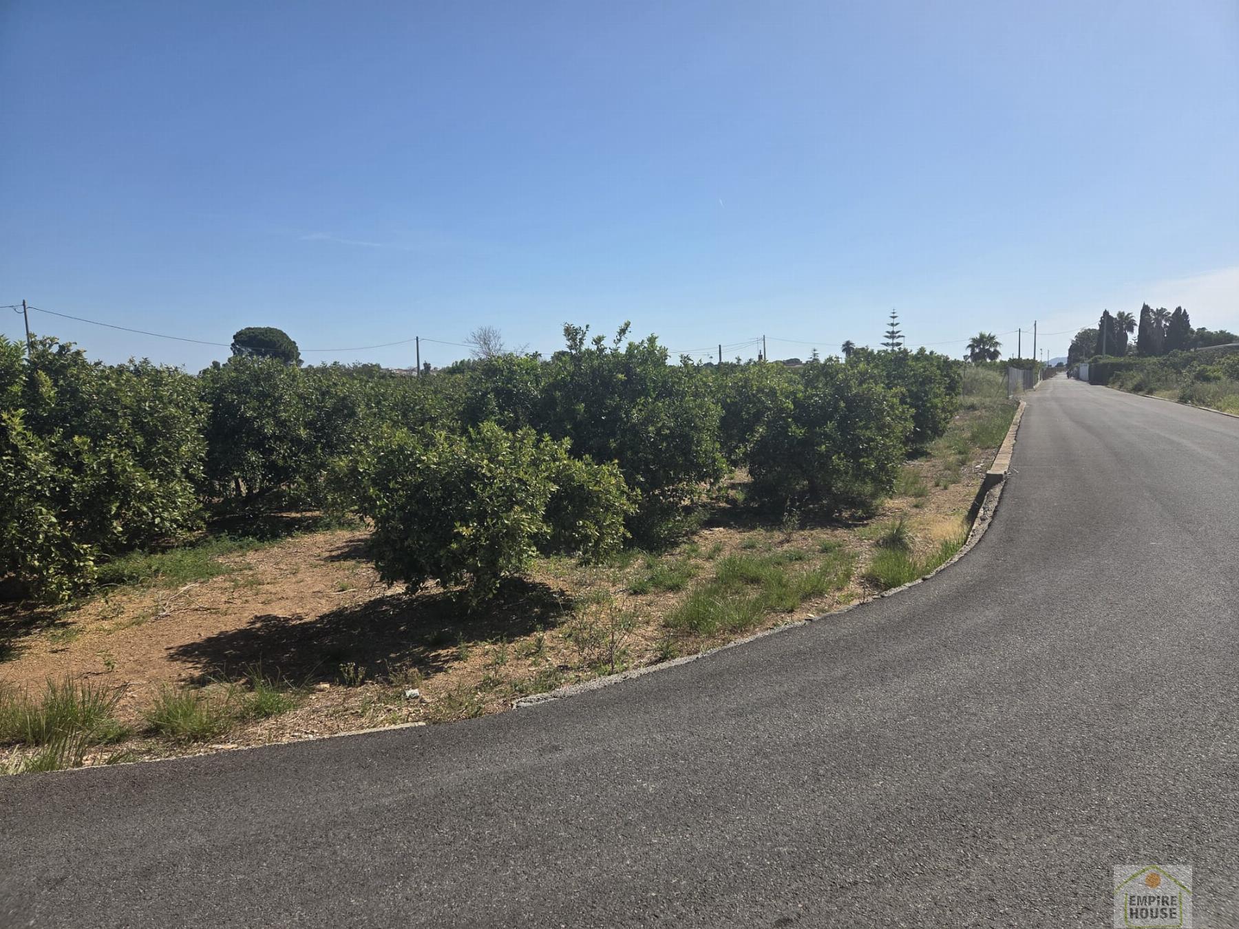 Venta de finca rústica en Benicull de Xúquer