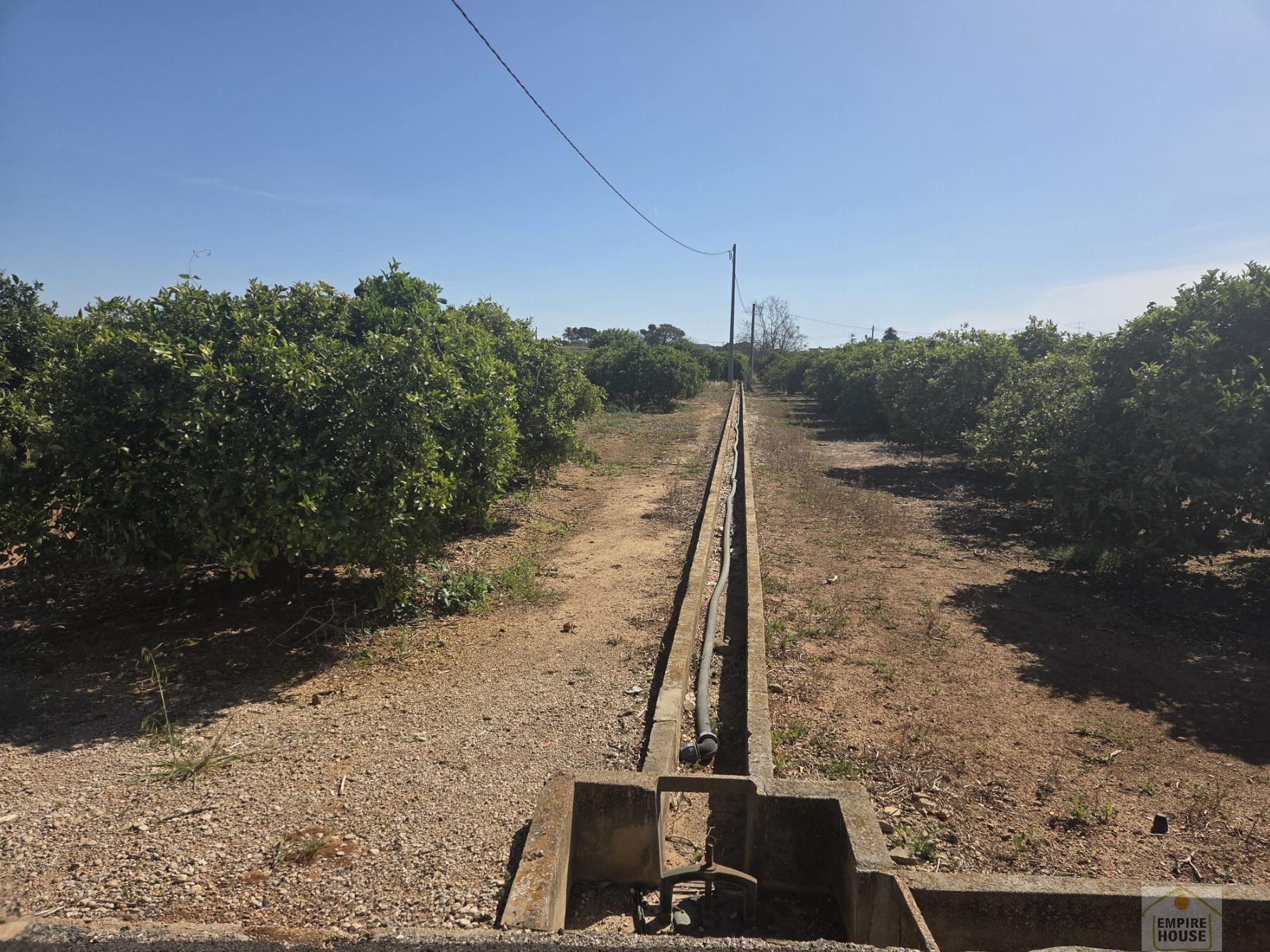 Venta de finca rústica en Benicull de Xúquer