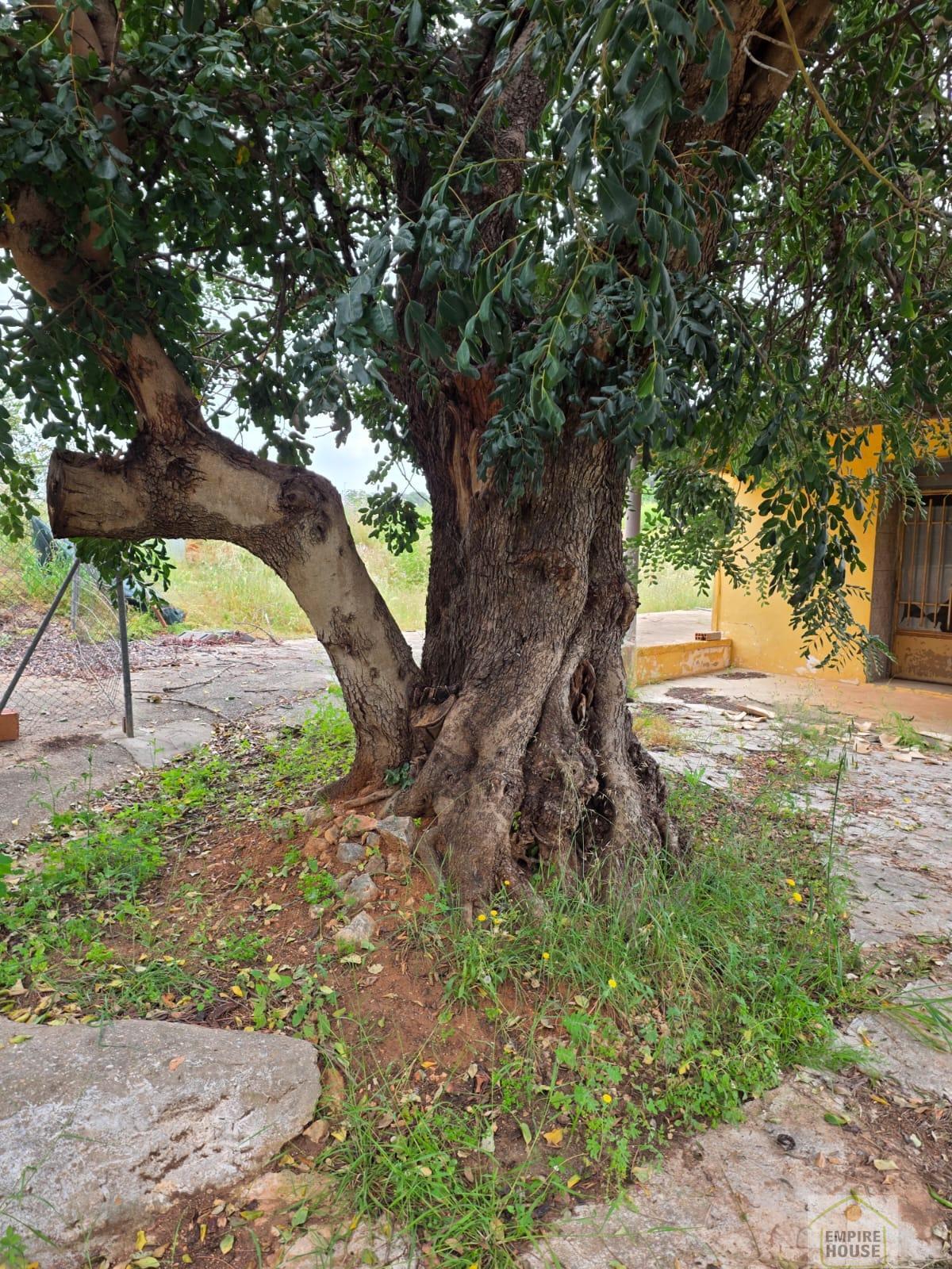 Venta de terreno en Alberic