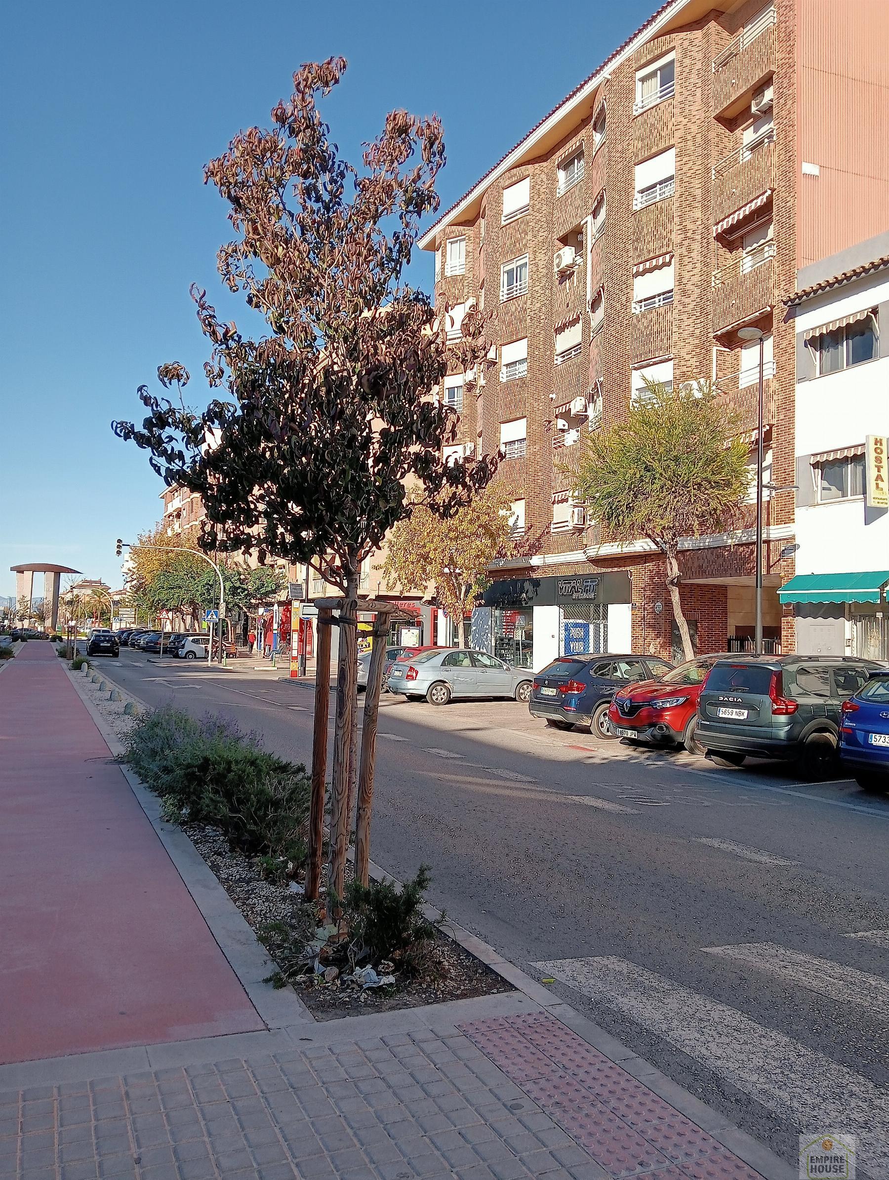 Alquiler de local en Aldaia