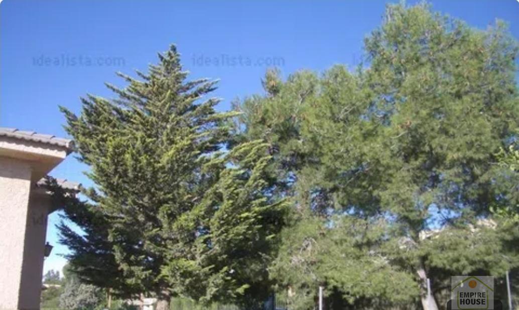 Venta de chalet en Torrent