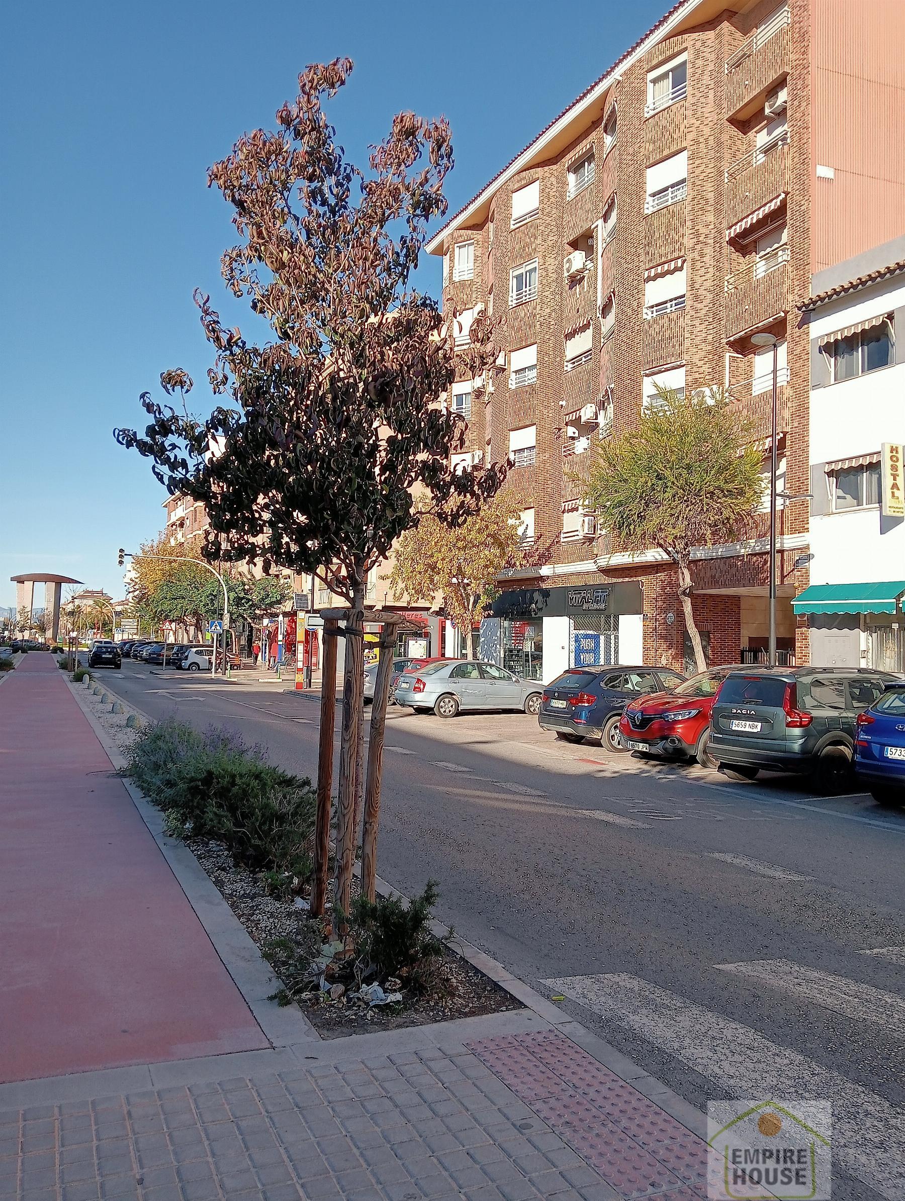Alquiler de local en Aldaia