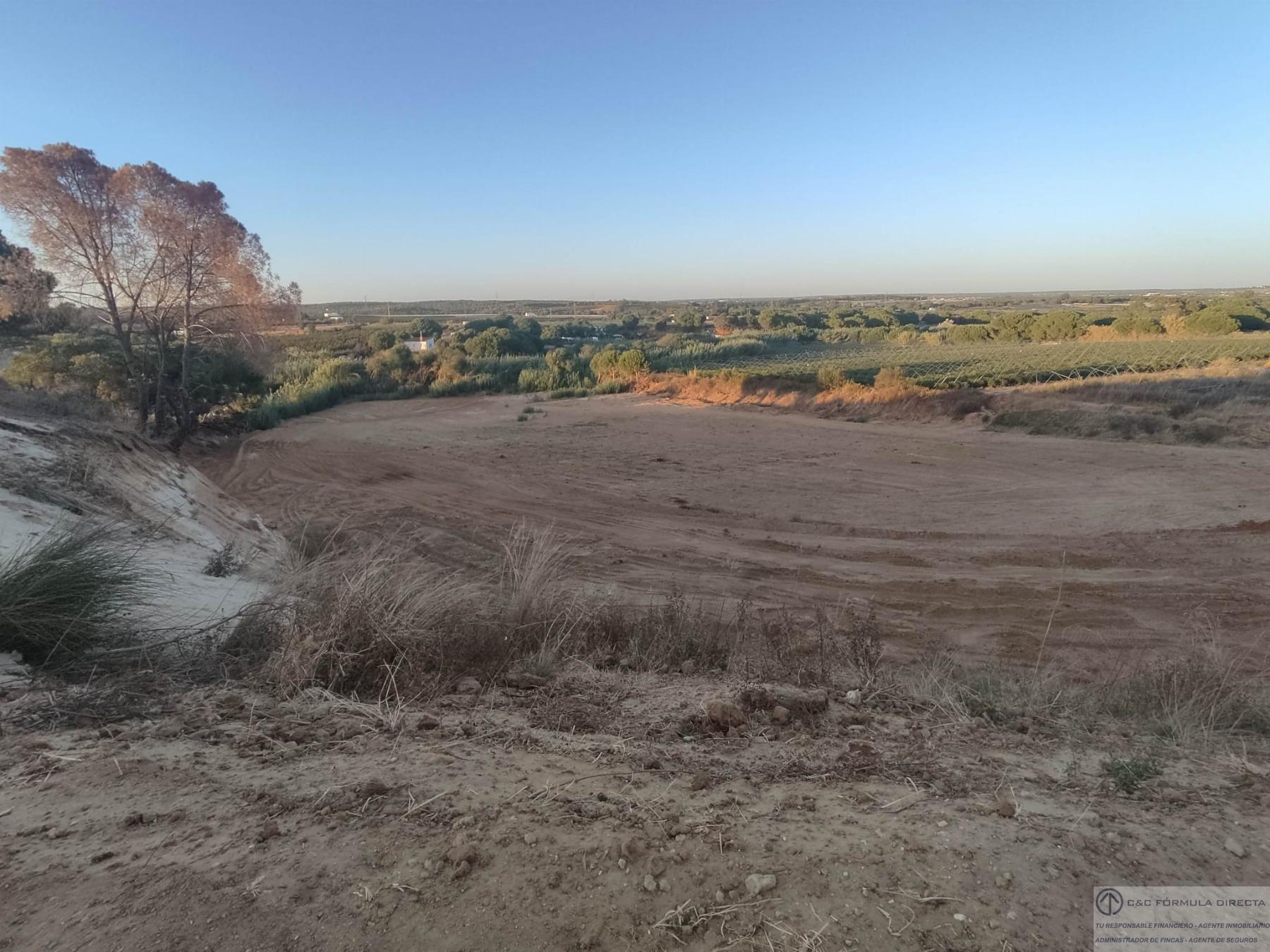 Venta de finca rústica en Lepe