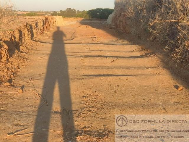 Venta de finca rústica en Lepe