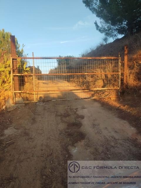 Venta de finca rústica en Lepe