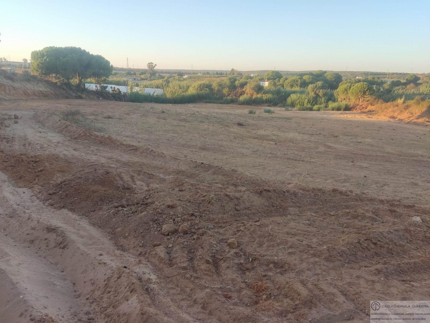 Venta de finca rústica en Lepe