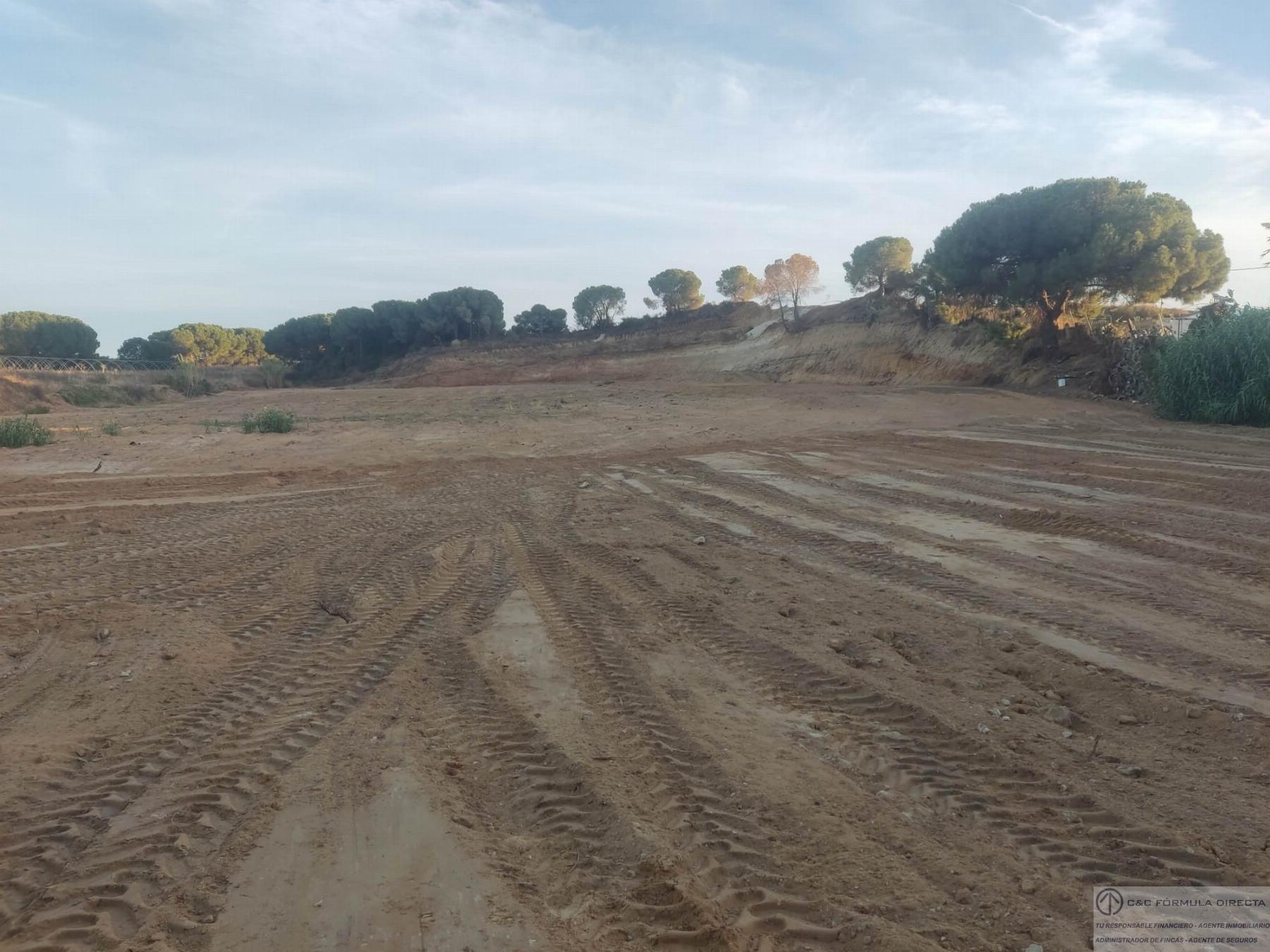 Venta de finca rústica en Lepe