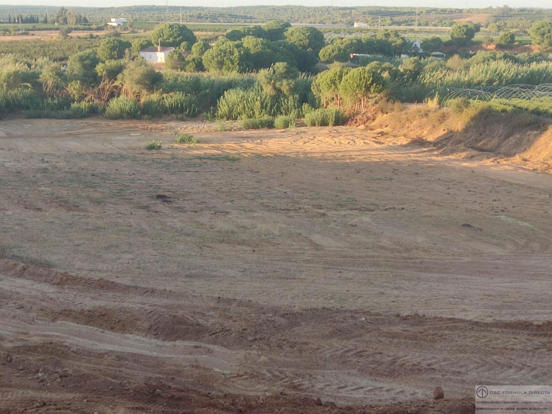 Venta de finca rústica en Lepe