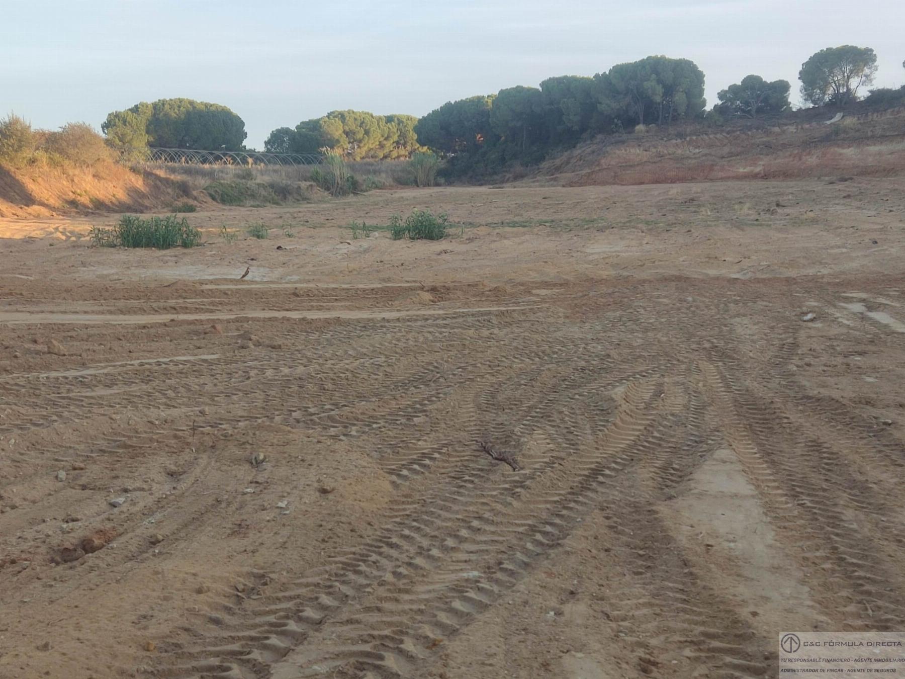 Venta de finca rústica en Lepe