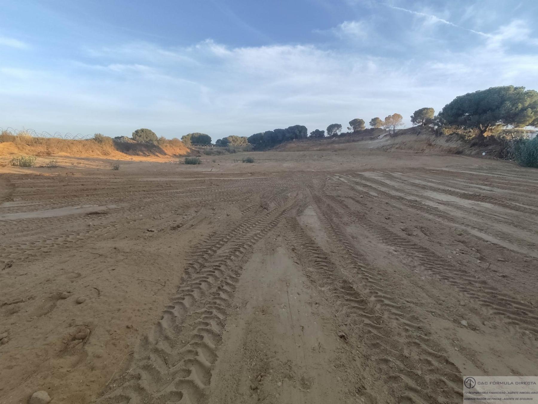 Venta de finca rústica en Lepe