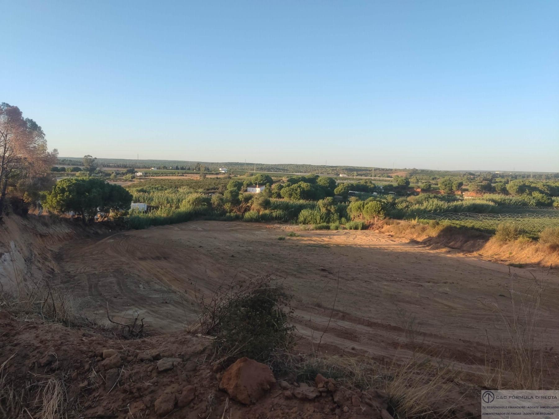 Venta de finca rústica en Lepe