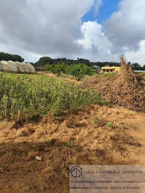 Venta de finca de recreo en Lepe