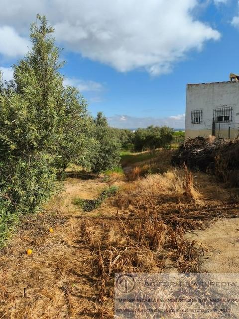 Venta de finca de recreo en Lepe