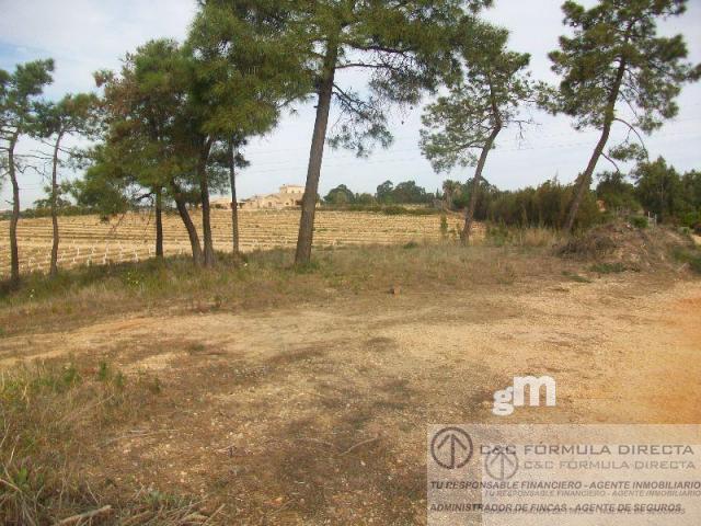 For sale of land in Lepe