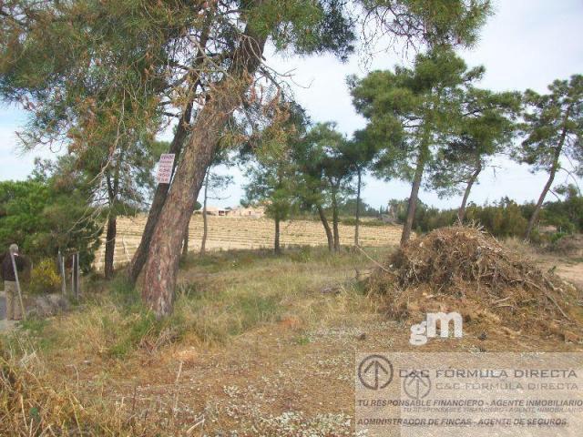 For sale of land in Lepe