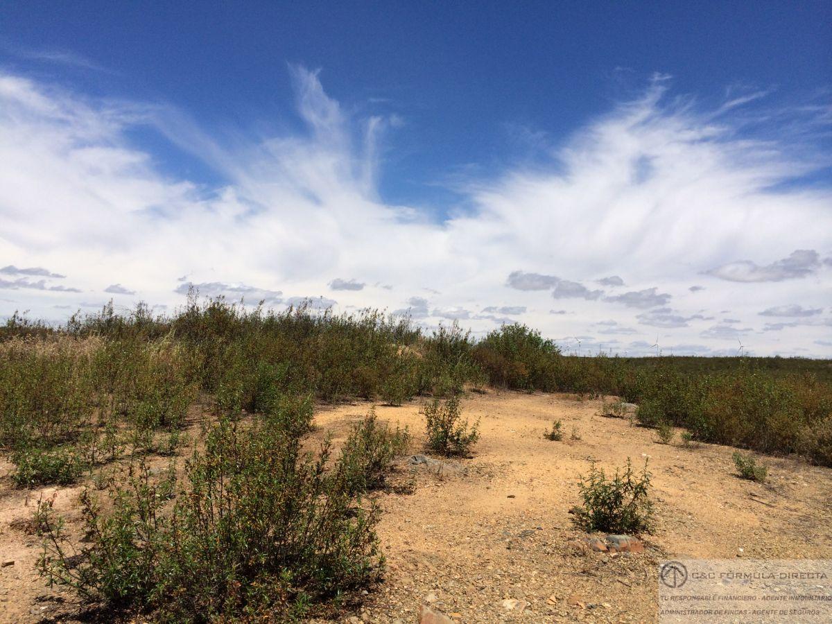 Venta de finca rústica en Villablanca