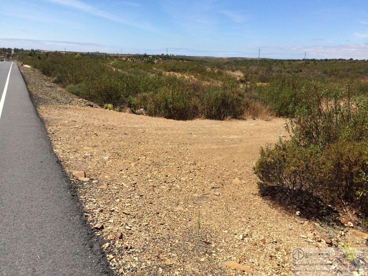 Venta de finca rústica en Villablanca