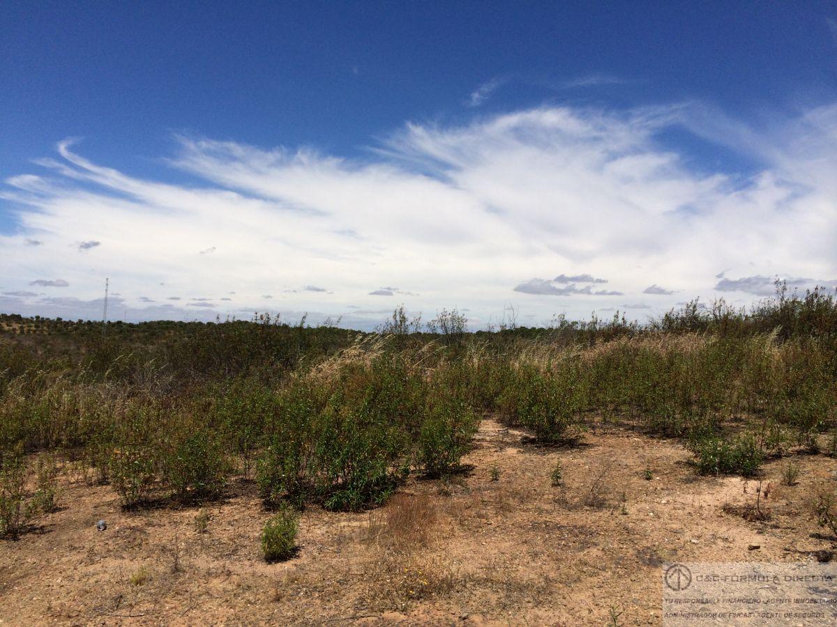 Venta de finca rústica en Villablanca