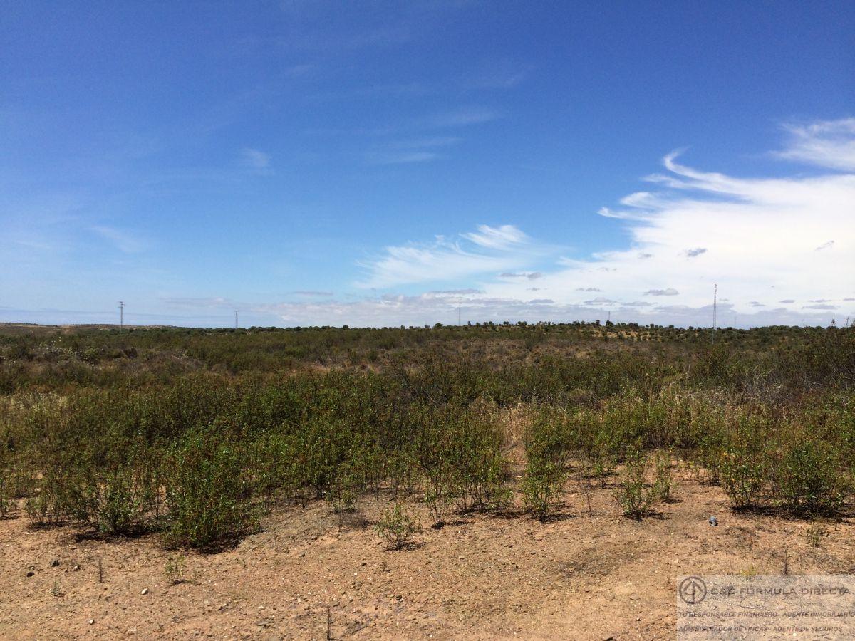 Venta de finca rústica en Villablanca