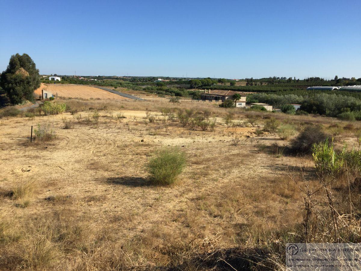 Venta de finca rústica en Cartaya