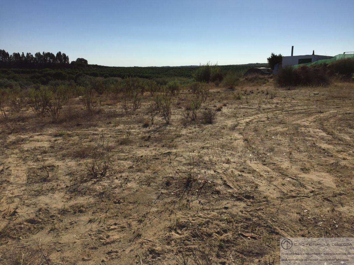 Venta de finca rústica en Cartaya