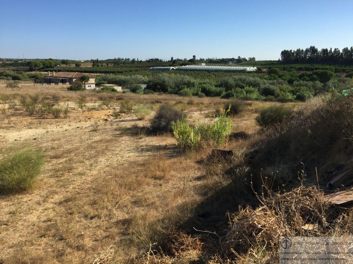 Venta de finca rústica en Cartaya