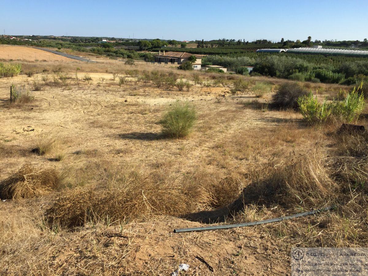 For sale of rural property in Cartaya