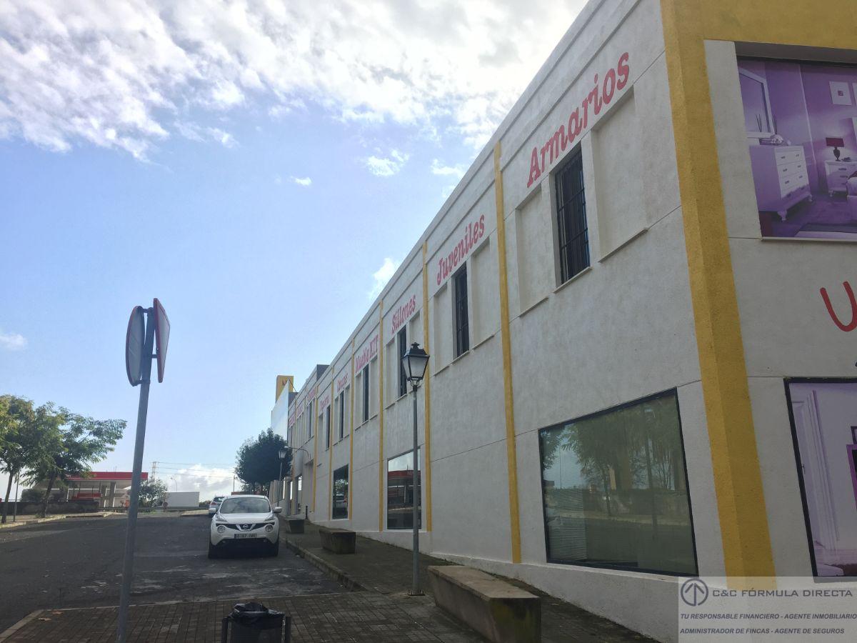 Verkoop van industrieel gebouw in Lepe