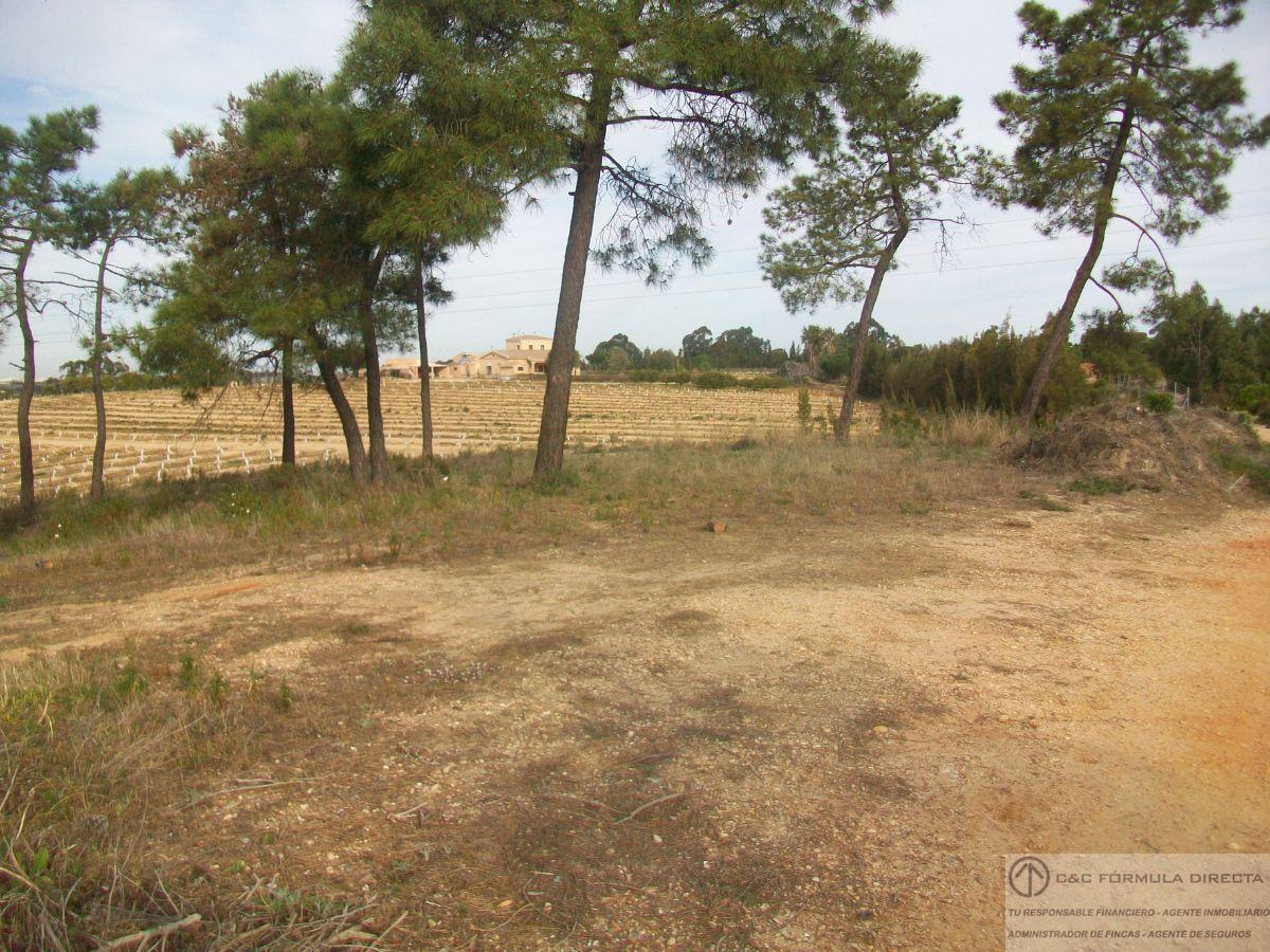 For sale of land in Lepe