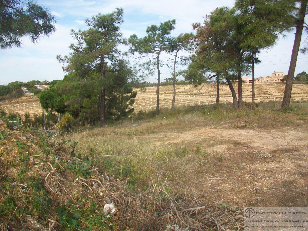 For sale of land in Lepe