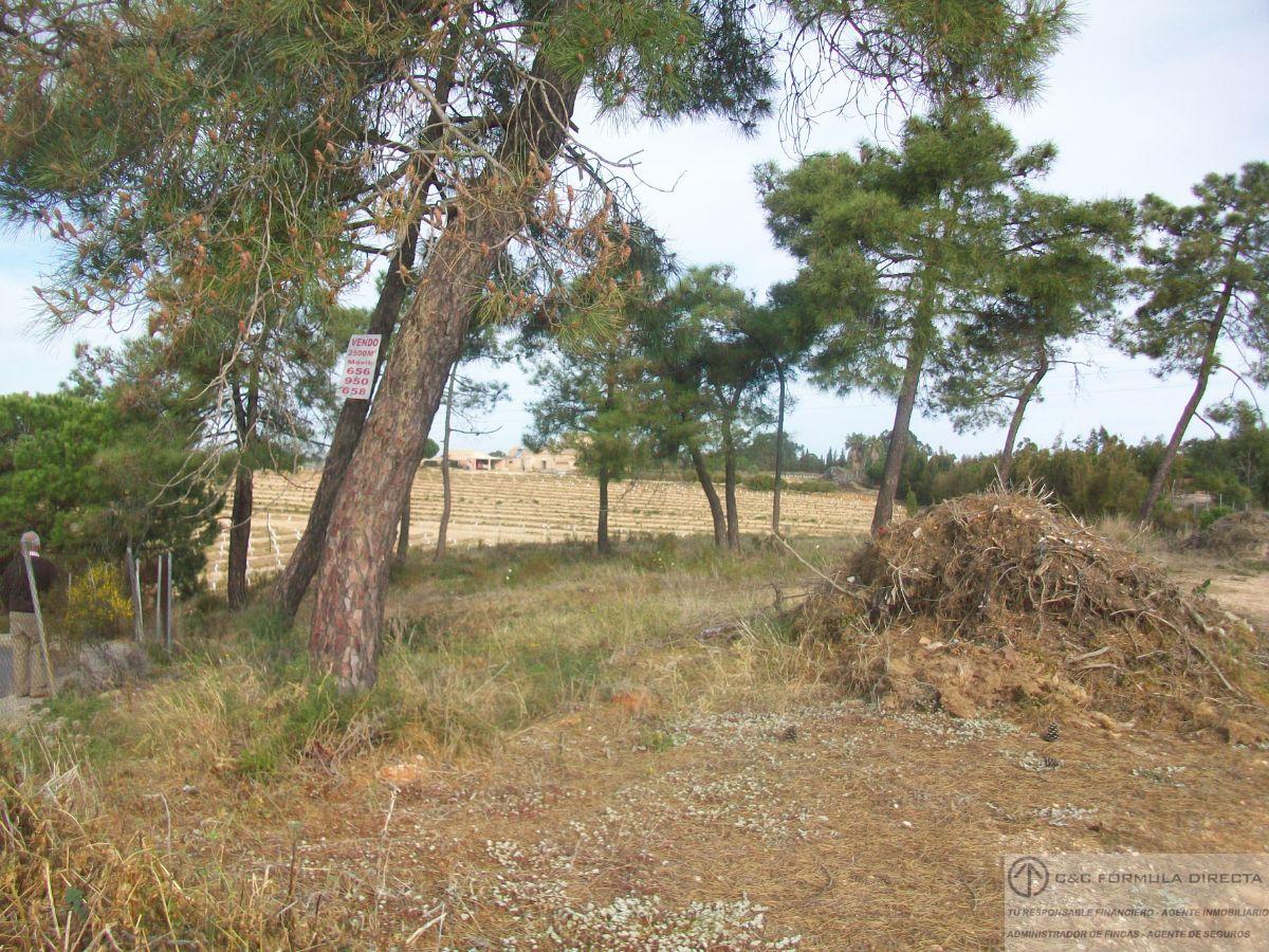 For sale of land in Lepe