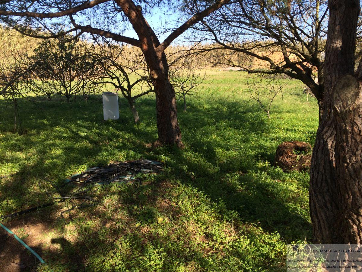 For sale of rural property in Isla Cristina