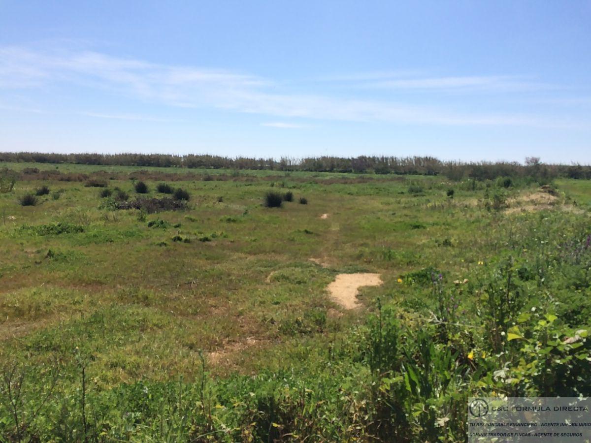 Vente de propriété rurale dans Lepe