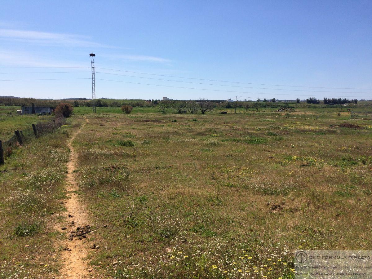 Vente de propriété rurale dans Lepe