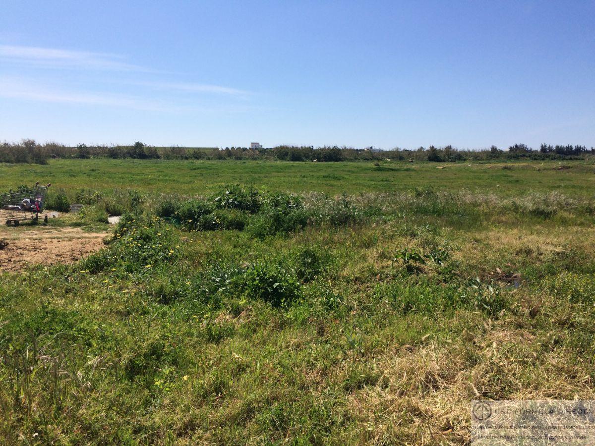 Vente de propriété rurale dans Lepe