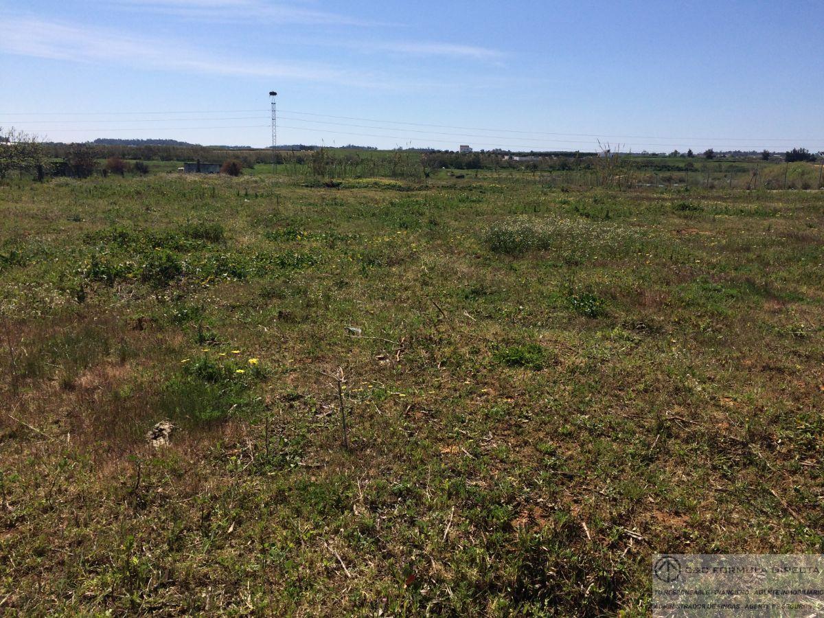 Vente de propriété rurale dans Lepe