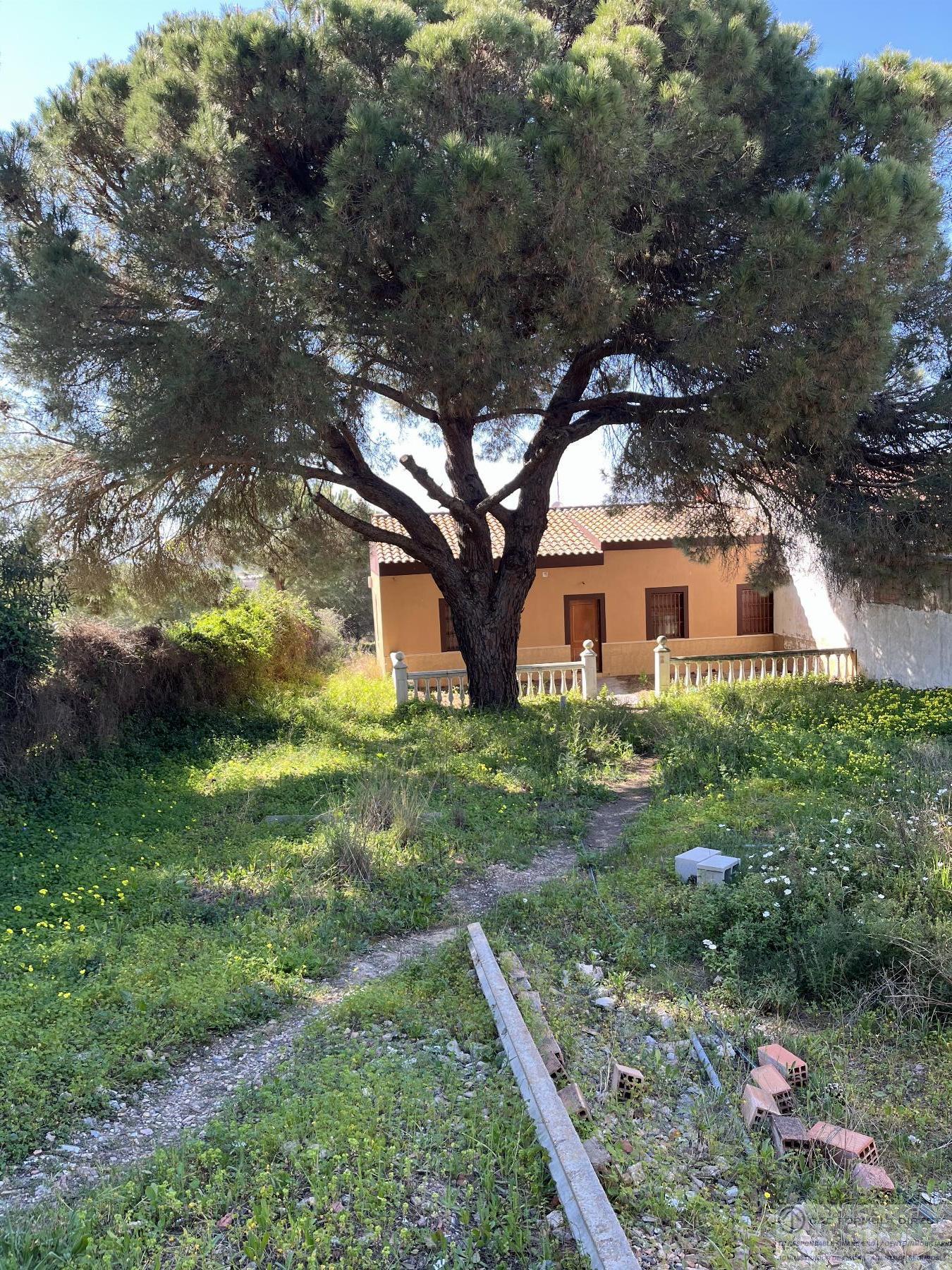 For sale of rural property in Isla Cristina