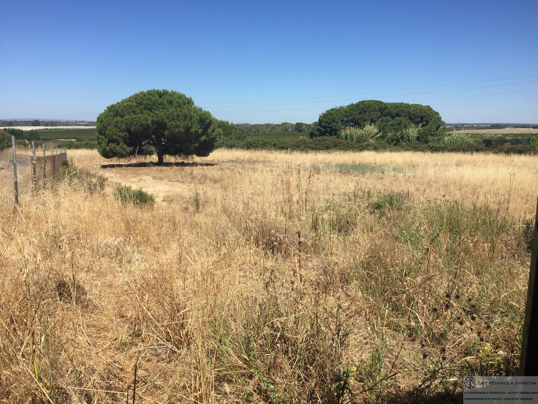 For sale of rural property in Isla Cristina