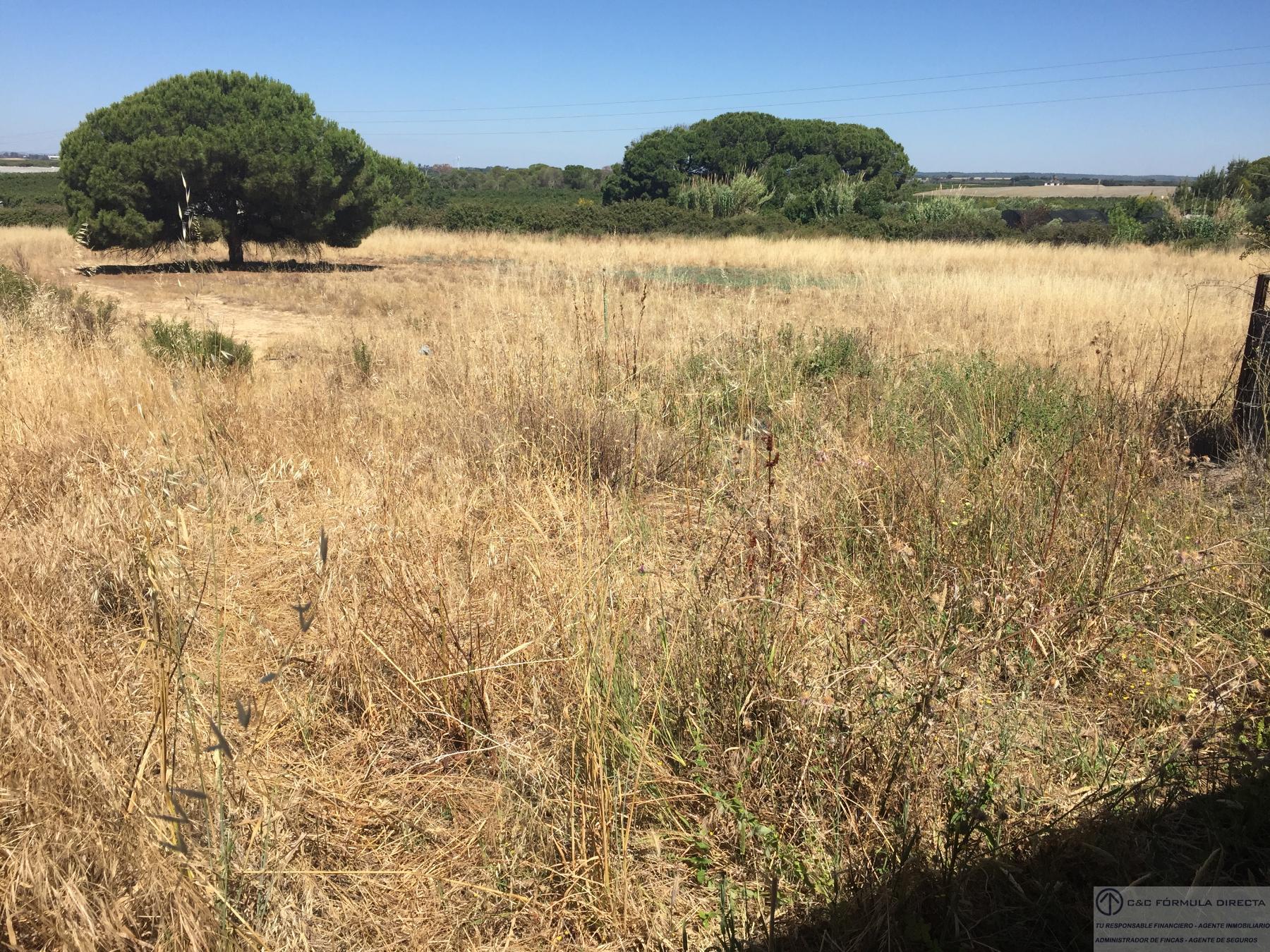 For sale of rural property in Isla Cristina