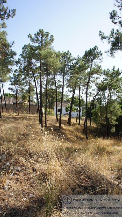 Verkoop van terrein in Lepe