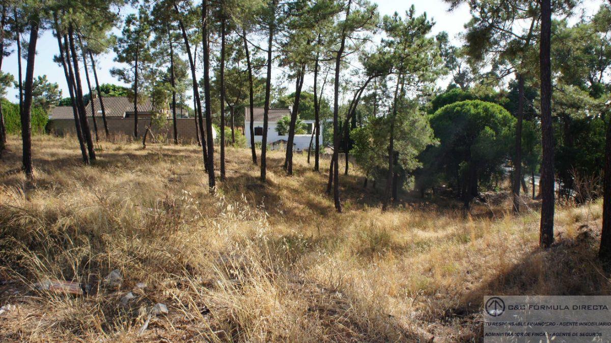 Verkoop van terrein in Lepe