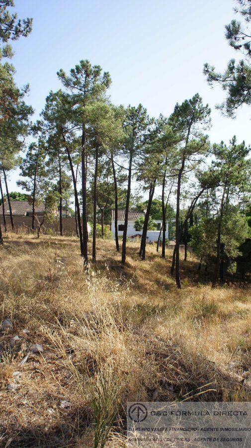 Verkoop van terrein in Lepe